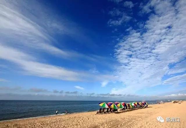 滨海旅游区最新消息｜滨海度假胜地资讯速递