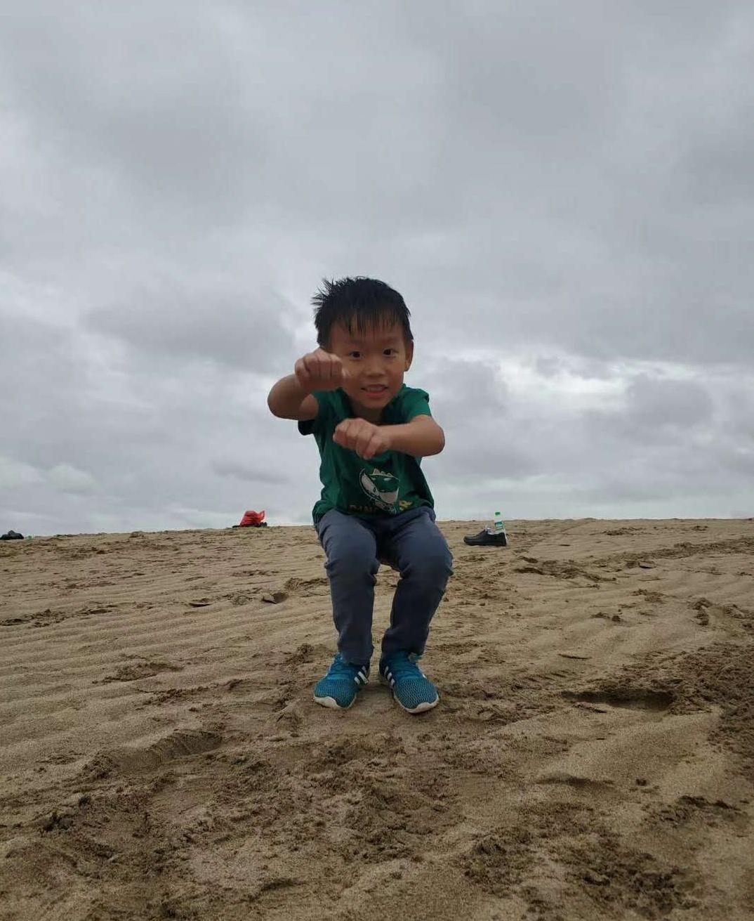 惠阳台风实时资讯，守护家园，共筑平安防线